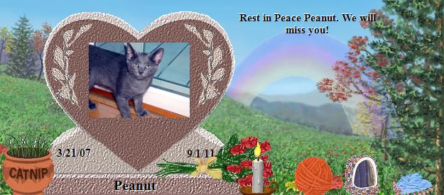 Peanut's Rainbow Bridge Pet Loss Memorial Residency Image