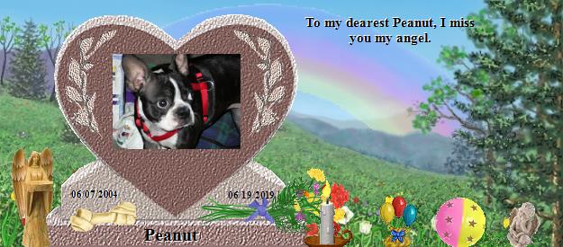 Peanut's Rainbow Bridge Pet Loss Memorial Residency Image