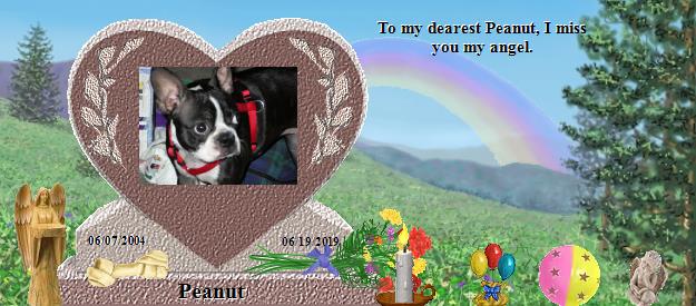 Peanut's Rainbow Bridge Pet Loss Memorial Residency Image