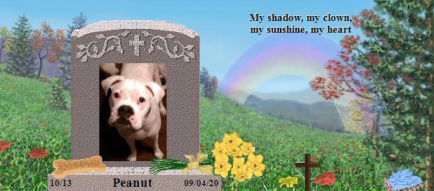 Peanut's Rainbow Bridge Pet Loss Memorial Residency Image