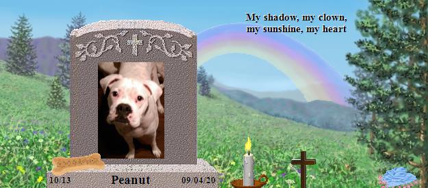 Peanut's Rainbow Bridge Pet Loss Memorial Residency Image