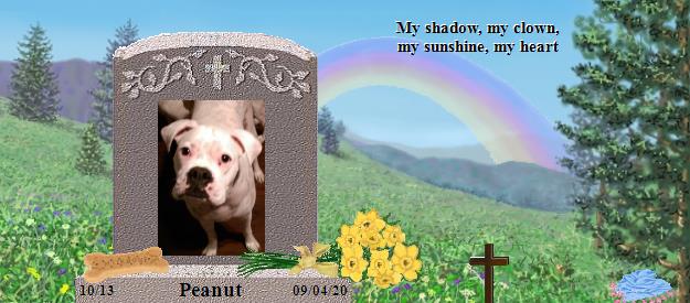 Peanut's Rainbow Bridge Pet Loss Memorial Residency Image