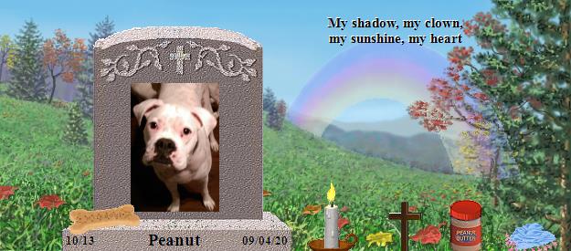 Peanut's Rainbow Bridge Pet Loss Memorial Residency Image