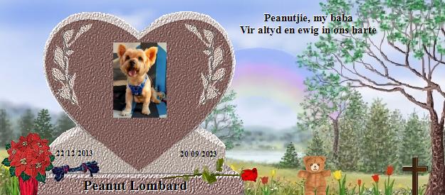 Peanut Lombard's Rainbow Bridge Pet Loss Memorial Residency Image