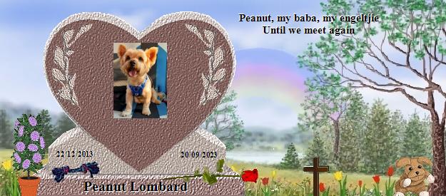 Peanut Lombard's Rainbow Bridge Pet Loss Memorial Residency Image