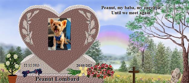 Peanut Lombard's Rainbow Bridge Pet Loss Memorial Residency Image