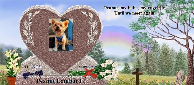 Peanut Lombard's Rainbow Bridge Pet Loss Memorial Residency Image