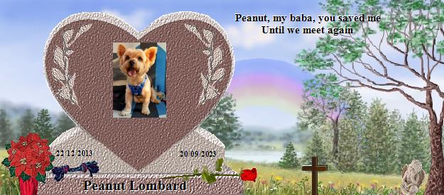 Peanut Lombard's Rainbow Bridge Pet Loss Memorial Residency Image