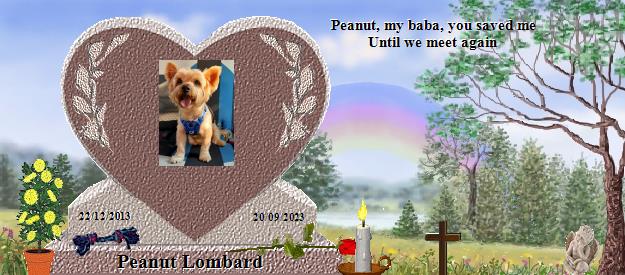 Peanut Lombard's Rainbow Bridge Pet Loss Memorial Residency Image