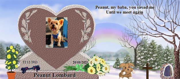 Peanut Lombard's Rainbow Bridge Pet Loss Memorial Residency Image