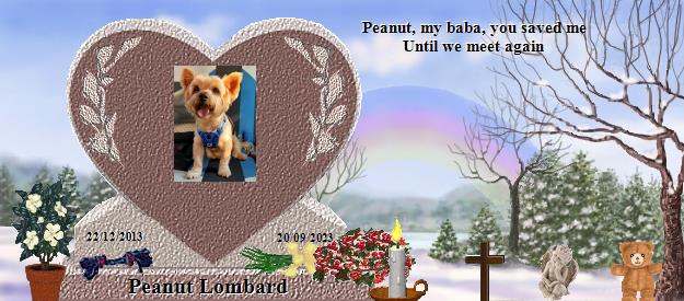 Peanut Lombard's Rainbow Bridge Pet Loss Memorial Residency Image