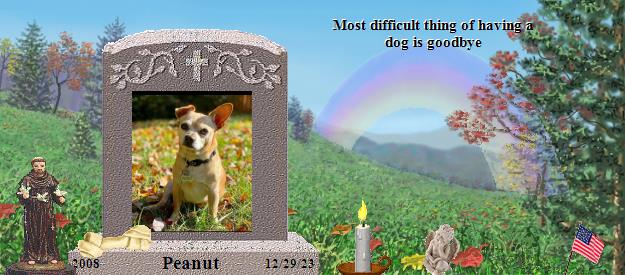 Peanut's Rainbow Bridge Pet Loss Memorial Residency Image