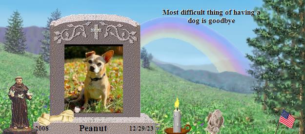 Peanut's Rainbow Bridge Pet Loss Memorial Residency Image