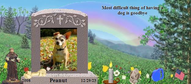 Peanut's Rainbow Bridge Pet Loss Memorial Residency Image