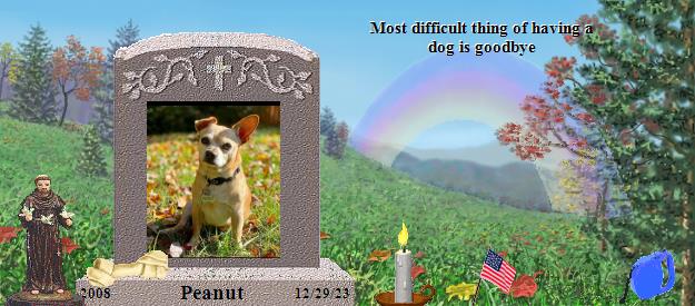 Peanut's Rainbow Bridge Pet Loss Memorial Residency Image