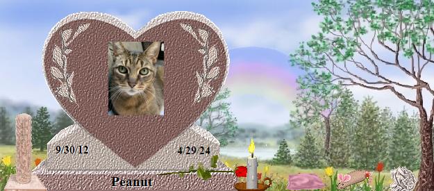 Peanut's Rainbow Bridge Pet Loss Memorial Residency Image