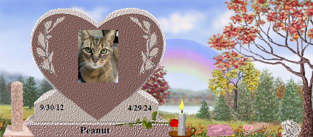 Peanut's Rainbow Bridge Pet Loss Memorial Residency Image