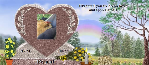 🥜Peanut🥜's Rainbow Bridge Pet Loss Memorial Residency Image