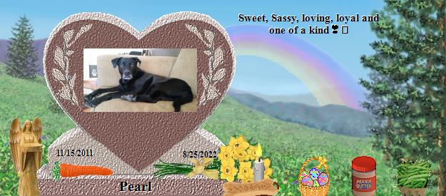 Pearl's Rainbow Bridge Pet Loss Memorial Residency Image