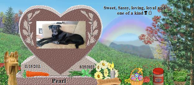 Pearl's Rainbow Bridge Pet Loss Memorial Residency Image