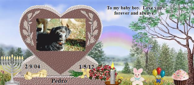 Pedro's Rainbow Bridge Pet Loss Memorial Residency Image