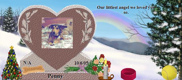 Penny's Rainbow Bridge Pet Loss Memorial Residency Image