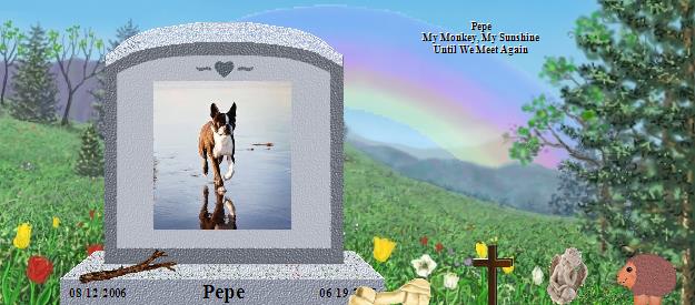Pepe's Rainbow Bridge Pet Loss Memorial Residency Image