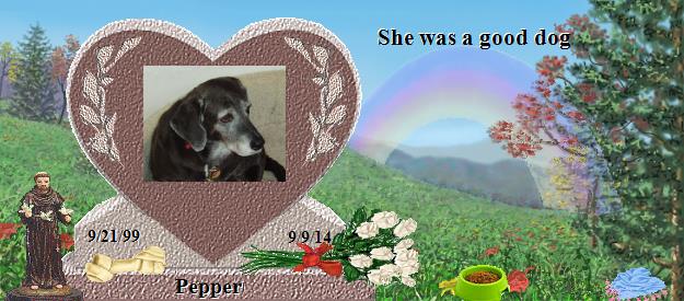 Pepper's Rainbow Bridge Pet Loss Memorial Residency Image