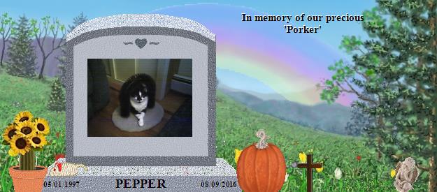 PEPPER's Rainbow Bridge Pet Loss Memorial Residency Image
