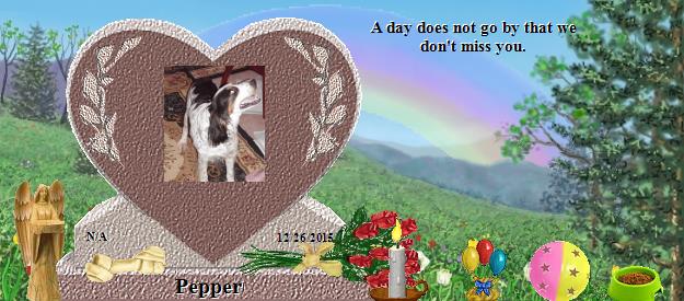 Pepper's Rainbow Bridge Pet Loss Memorial Residency Image