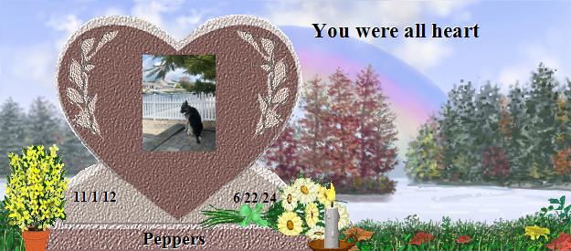 Peppers's Rainbow Bridge Pet Loss Memorial Residency Image