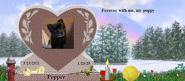 Pepper's Rainbow Bridge Pet Loss Memorial Residency Image