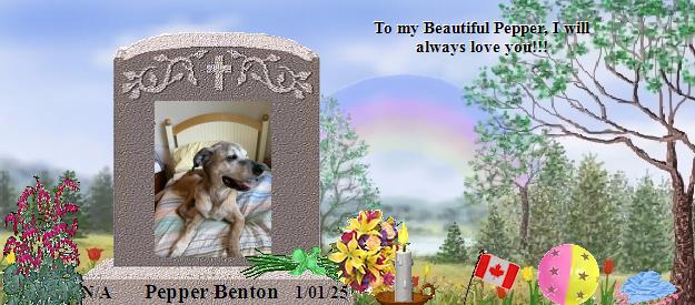 Pepper Benton's Rainbow Bridge Pet Loss Memorial Residency Image
