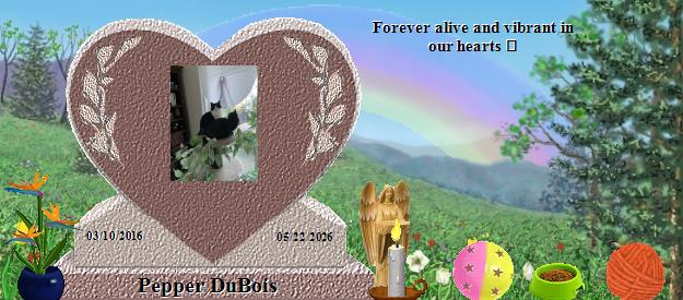 Pepper DuBois's Rainbow Bridge Pet Loss Memorial Residency Image