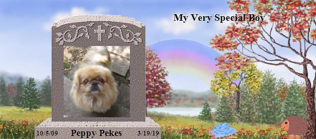 Peppy Pekes's Rainbow Bridge Pet Loss Memorial Residency Image