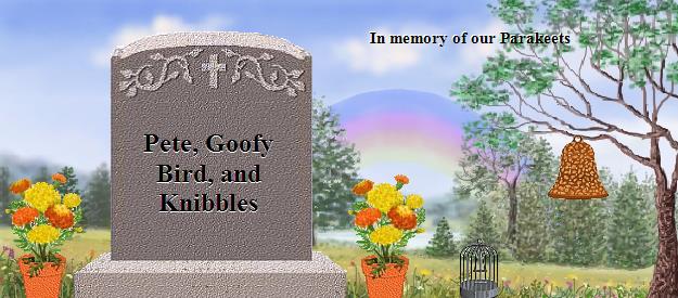 Pete, Goofy Bird, and Knibbles's Rainbow Bridge Pet Loss Memorial Residency Image