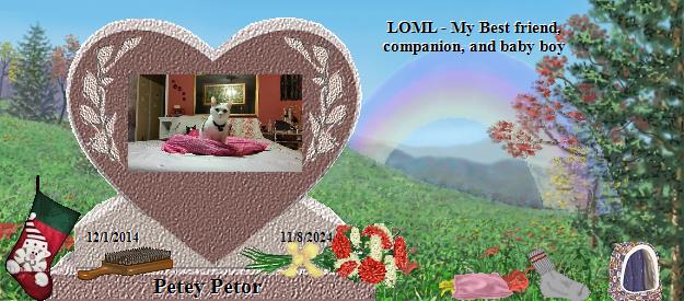 Petey Petor's Rainbow Bridge Pet Loss Memorial Residency Image