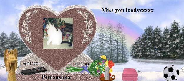 Petroushka's Rainbow Bridge Pet Loss Memorial Residency Image