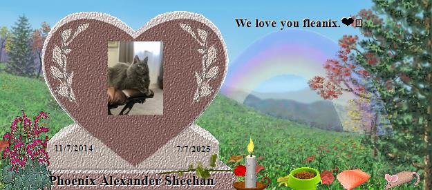 Phoenix Alexander Sheehan's Rainbow Bridge Pet Loss Memorial Residency Image