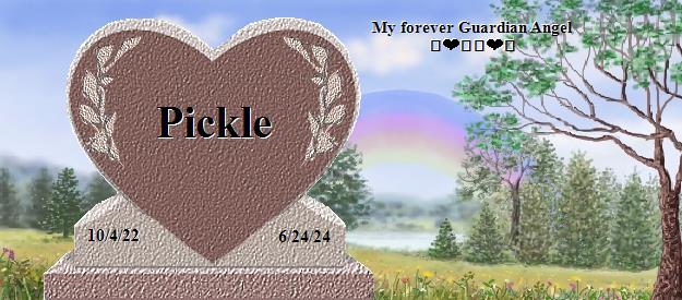 Pickle's Rainbow Bridge Pet Loss Memorial Residency Image