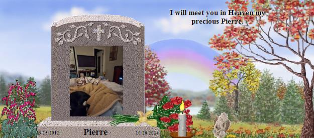 Pierre's Rainbow Bridge Pet Loss Memorial Residency Image