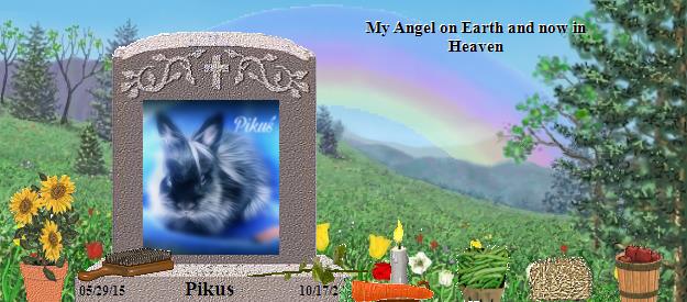 Pikus's Rainbow Bridge Pet Loss Memorial Residency Image