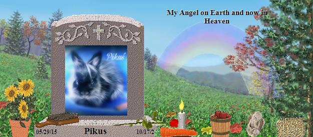 Pikus's Rainbow Bridge Pet Loss Memorial Residency Image
