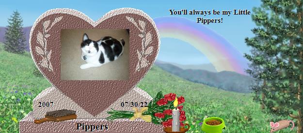 Pippers's Rainbow Bridge Pet Loss Memorial Residency Image