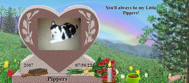 Pippers's Rainbow Bridge Pet Loss Memorial Residency Image