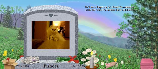 Pishoes's Rainbow Bridge Pet Loss Memorial Residency Image