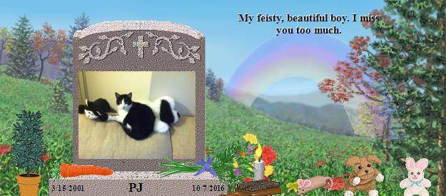 PJ's Rainbow Bridge Pet Loss Memorial Residency Image