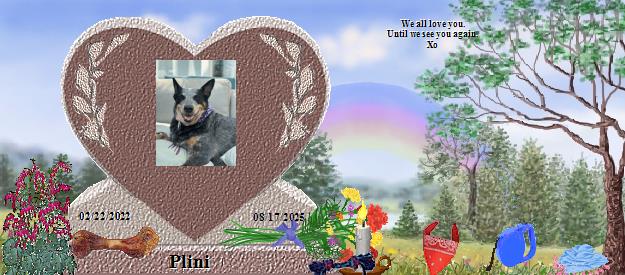 Plini's Rainbow Bridge Pet Loss Memorial Residency Image