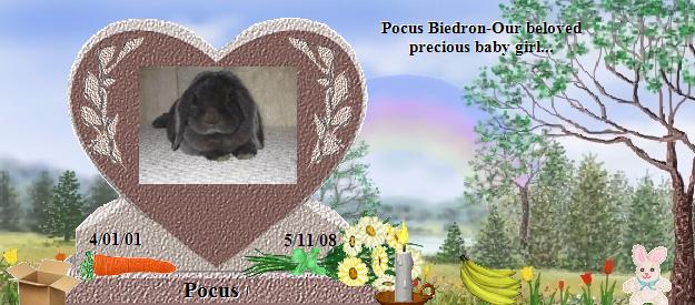 Pocus's Rainbow Bridge Pet Loss Memorial Residency Image