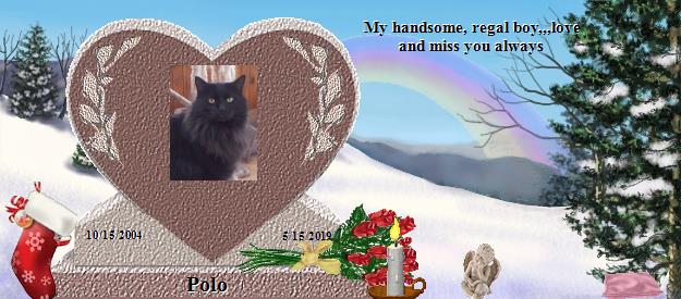 Polo's Rainbow Bridge Pet Loss Memorial Residency Image